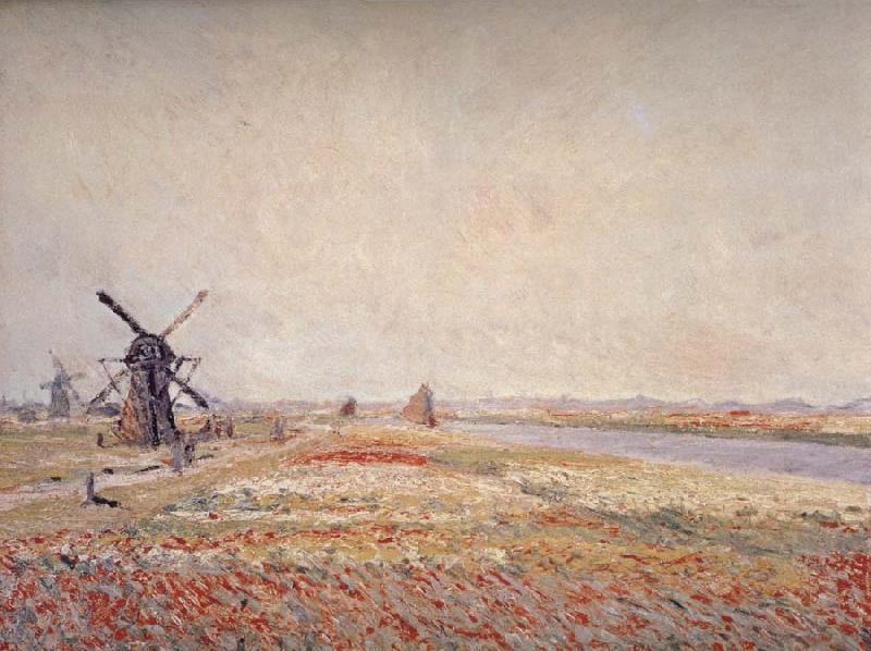 Claude Monet Field of Flowers and Windmills Near Leiden France oil painting art